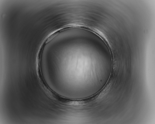 X0000088411179200706121409