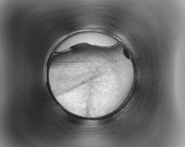 X0000088411180200706121409