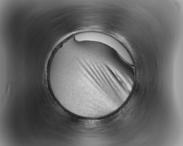 X0000088411184200706121409