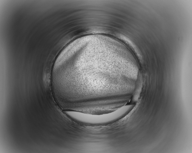 X0000088411185200706121409