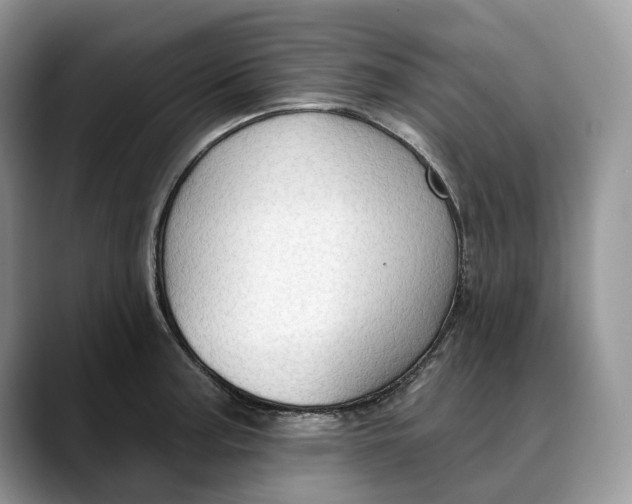 X0000088411187200706121409