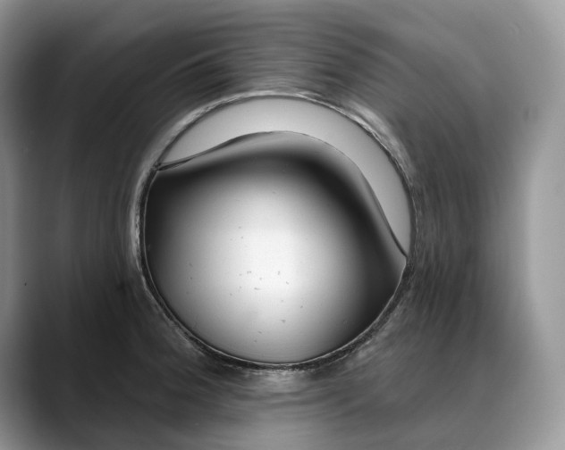 X0000088411188200706121409