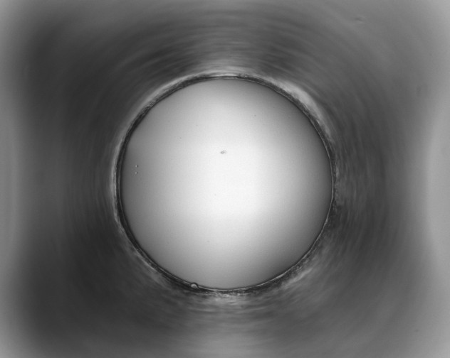 X0000088411191200706121409