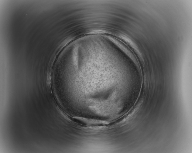 X0000088411193200706121409