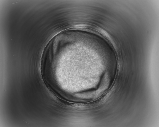 X0000088411194200706121409