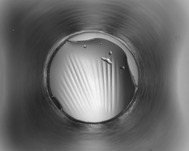 X0000088411196200706121409