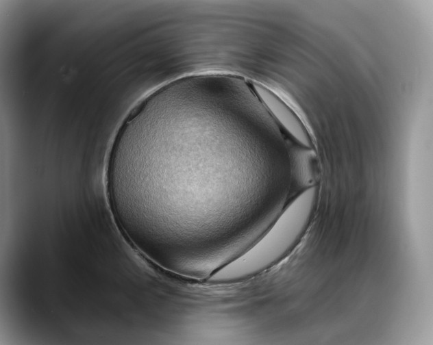 X0000088411197200706121409