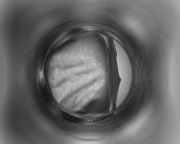 X0000088411198200706121409