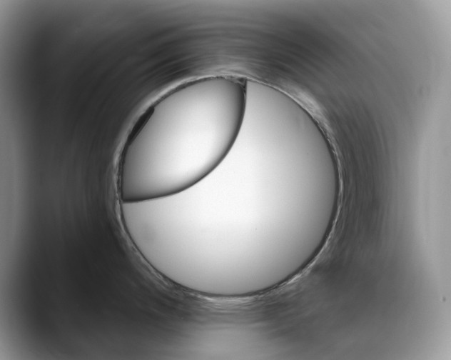 X0000088411200200706121409