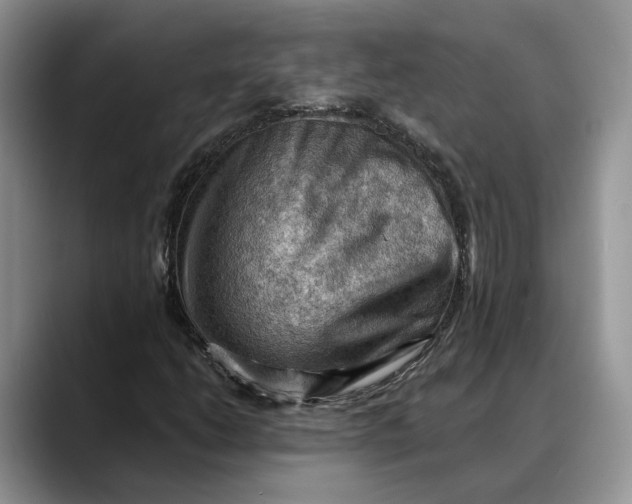 X0000088411206200706121408