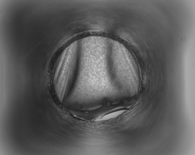 X0000088411208200706121408