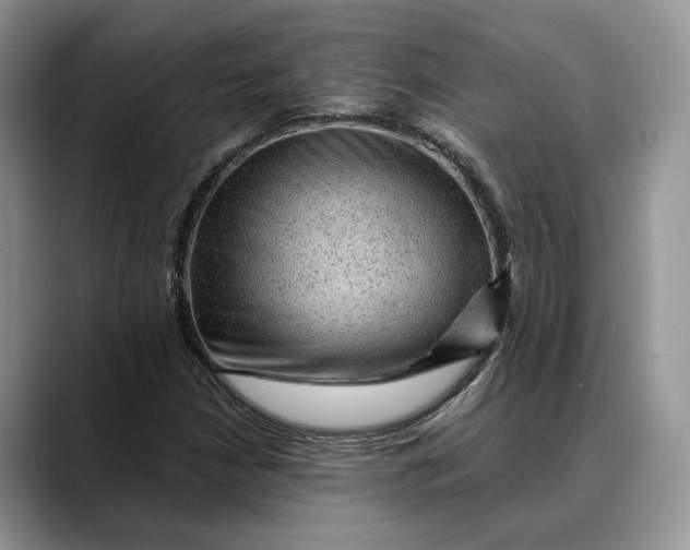 X0000088411210200706121408