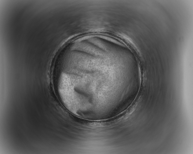 X0000088411212200706121408