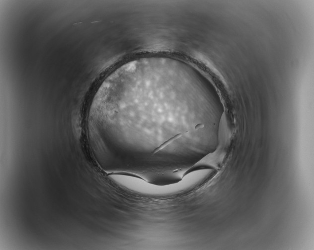 X0000088411213200706121408