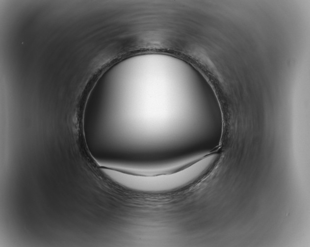 X0000088411218200706121408