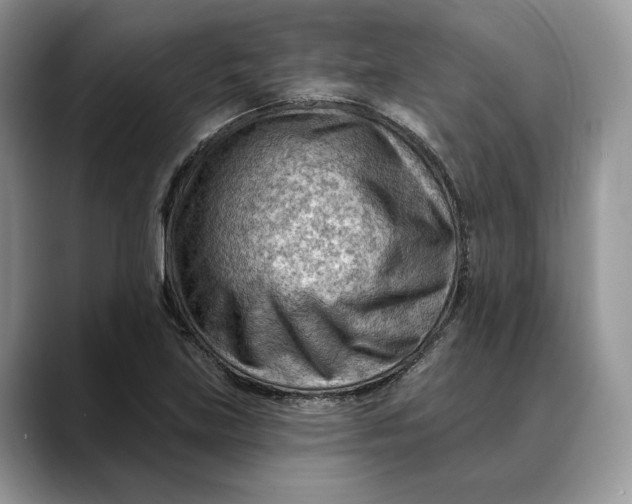 X0000088411219200706121408