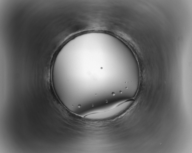 X0000088411220200706121408