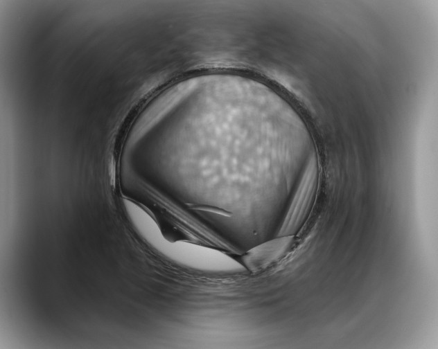 X0000088411221200706121408