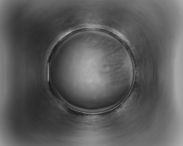 X0000088411223200706121408