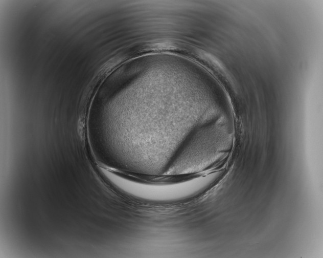 X0000088411225200706121408