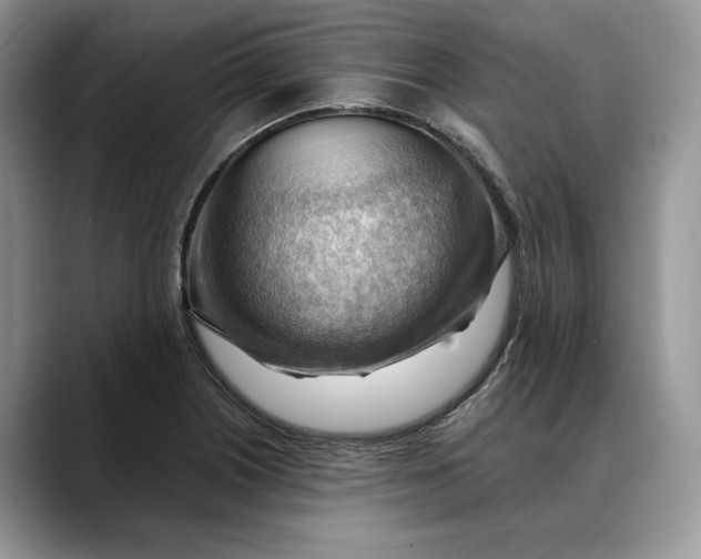 X0000088411226200706121408