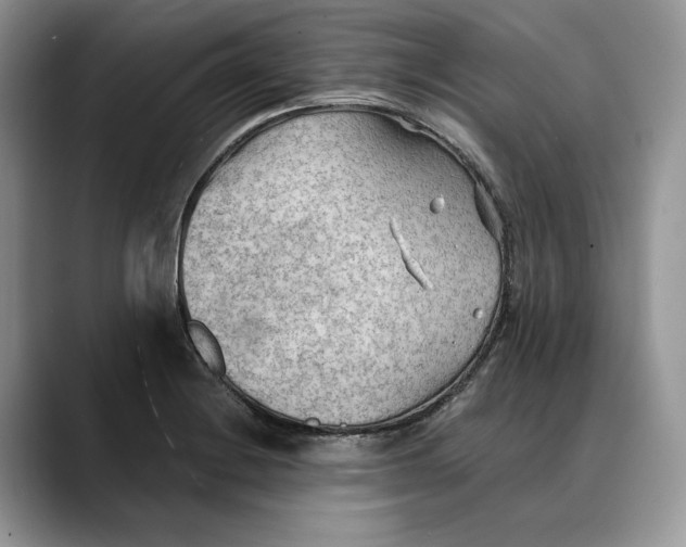 X0000088411228200706121408