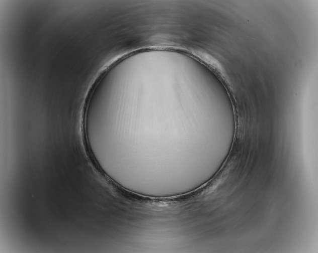 X0000088411231200706121408