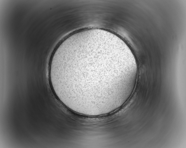 X0000088411232200706121408