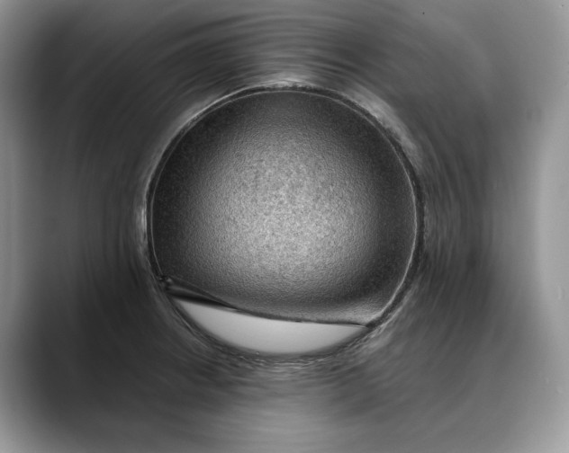 X0000088411234200706121408