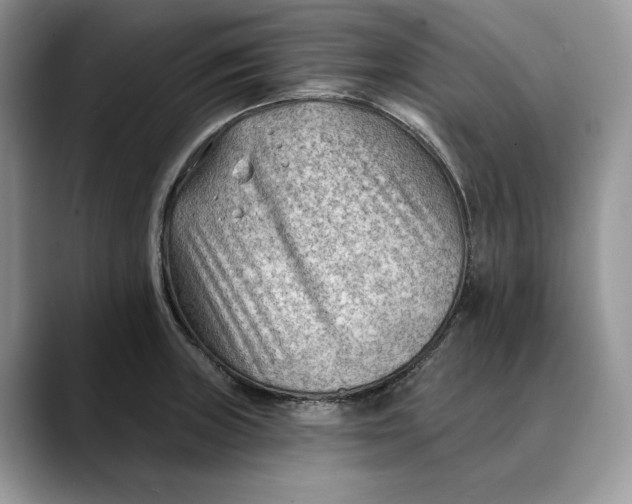 X0000088411235200706121408