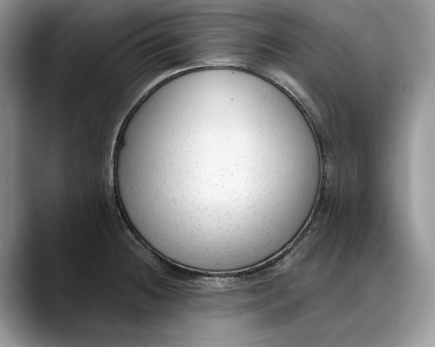 X0000088411236200706121408