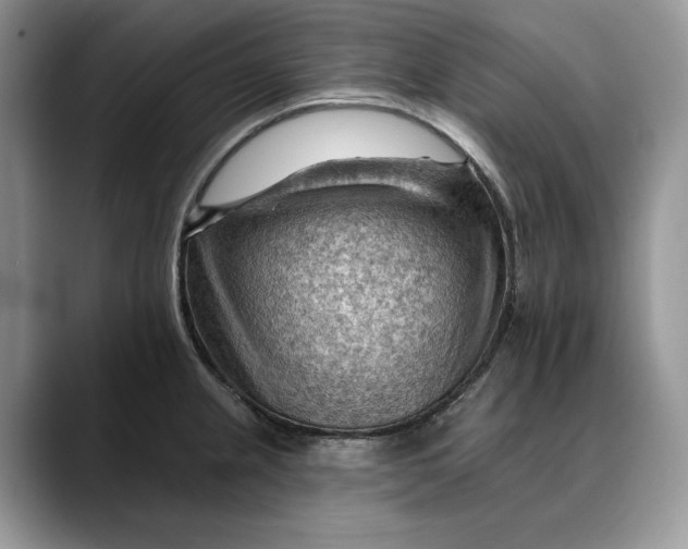 X0000088411237200706121408