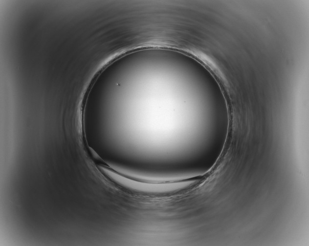 X0000088411238200706121408