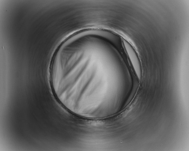 X0000088411239200706121408