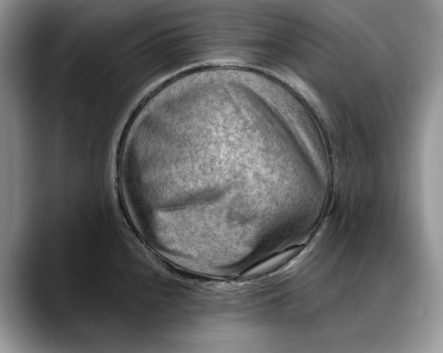 X0000088411240200706121408