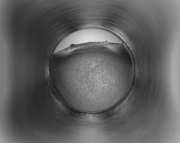 X0000088411241200706121408