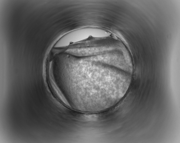 X0000088411243200706121409