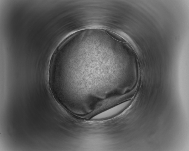 X0000088411244200706121409