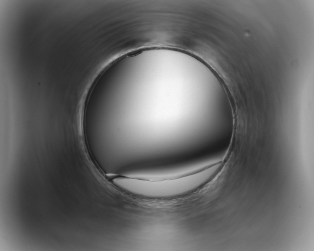 X0000088411246200706121409