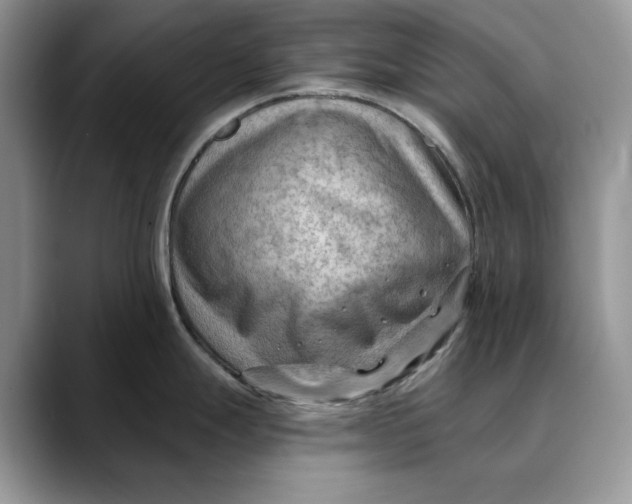 X0000088411247200706121409