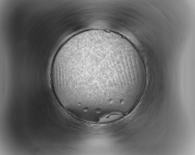 X0000088411248200706121409