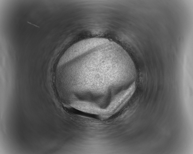 X0000088411249200706121408