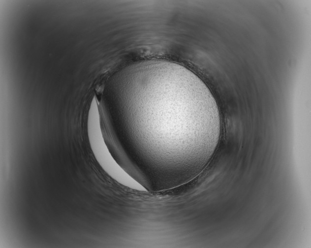 X0000088411250200706121408