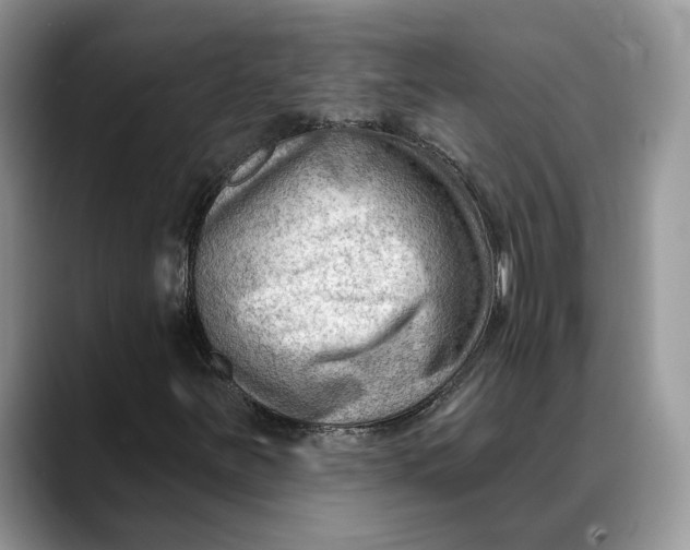 X0000088411251200706121408