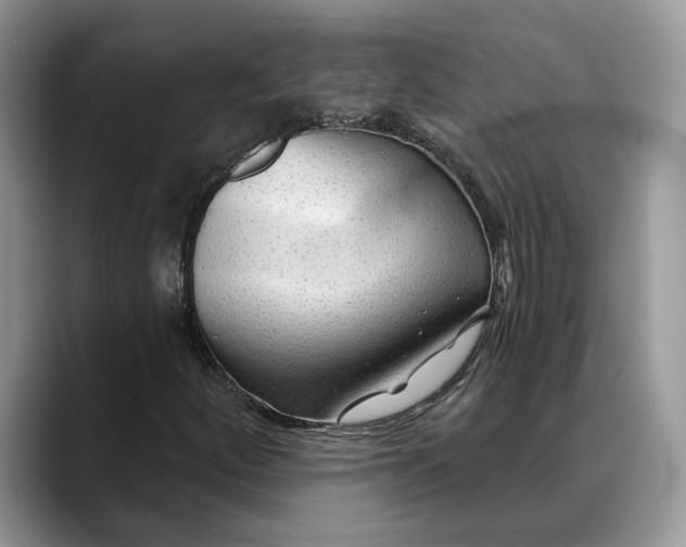 X0000088411252200706121408