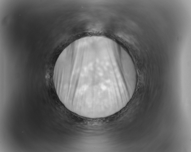 X0000088411254200706121408