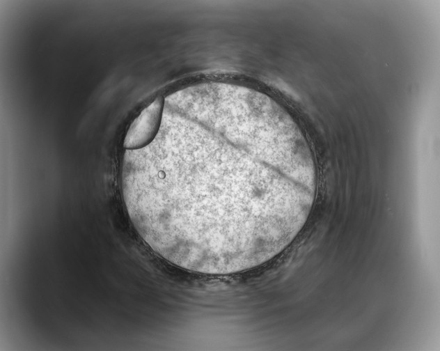 X0000088411255200706121408