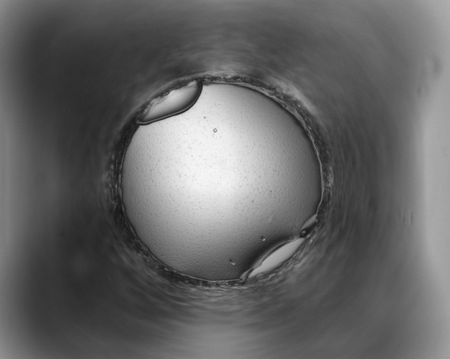 X0000088411256200706121408