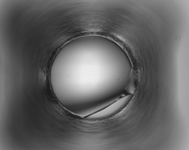 X0000088411257200706121408