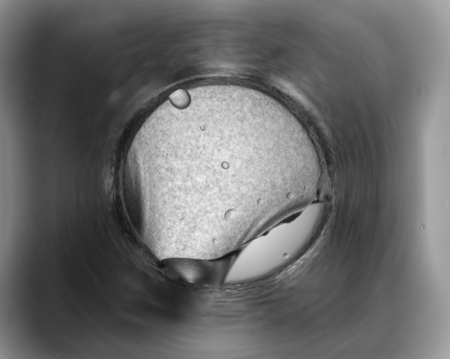 X0000088411259200706121408